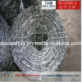 High Quality Barbed Wire Professional Manufacturer (ISO9001)